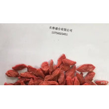 Factory price Organic  Berry Market Price Goji Berry Goji